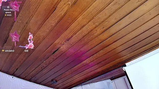 danika_mori1's cam snapshot