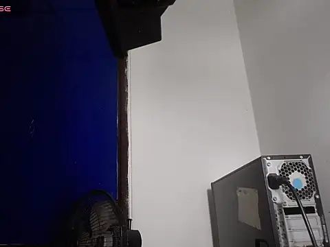 vchelsietaylorper's cam snapshot