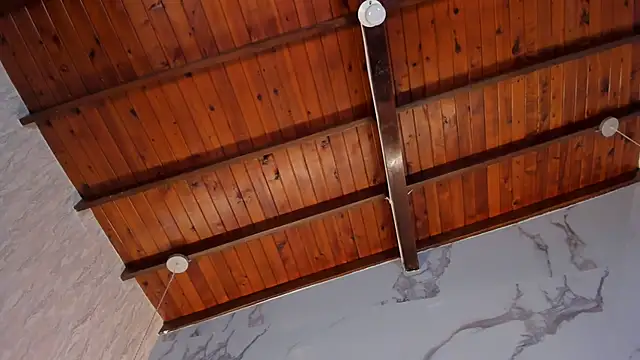 Celeste-Evanns's cam snapshot