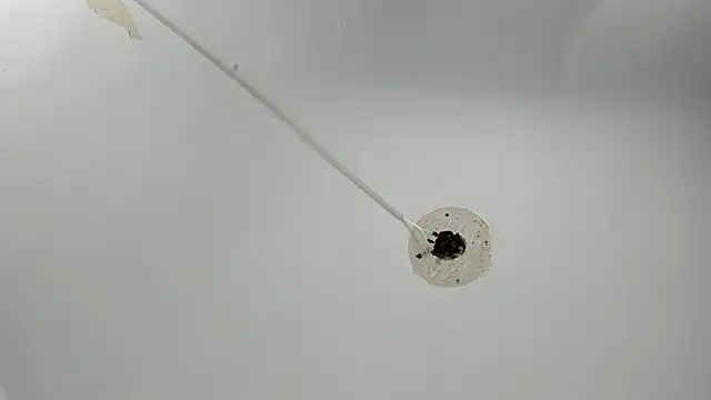 Dayana__Ospina's cam snapshot