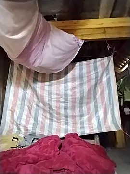 lmc-zz's cam snapshot