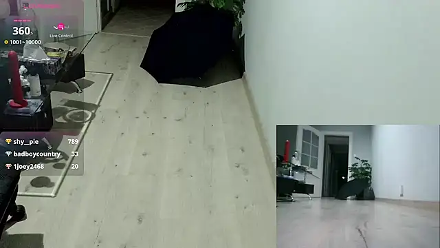 Succubus5879's cam snapshot