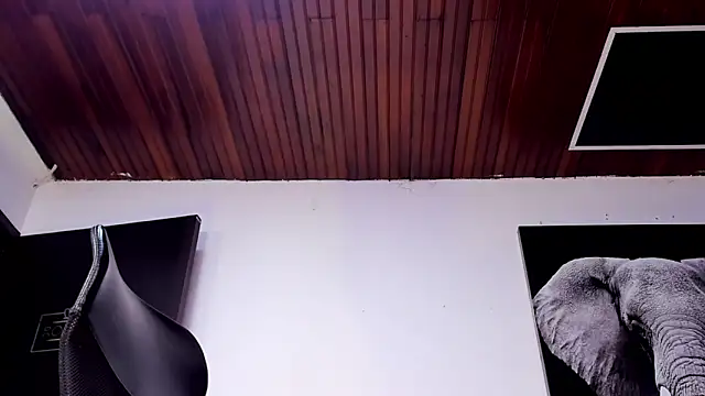 king_falconer live sex cam