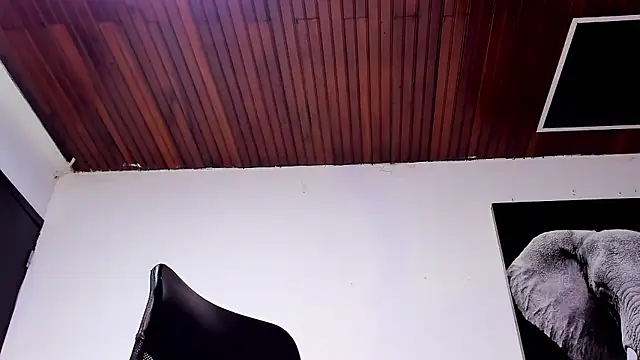 king_falconer live sex cam