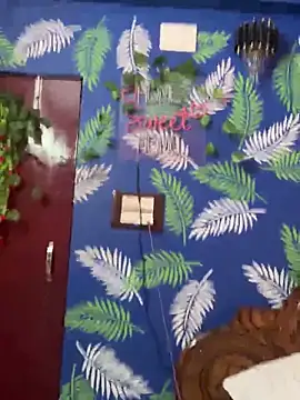 V-Hot-Sweti live sex cam