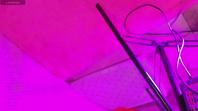 _BABYFLOW's cam snapshot