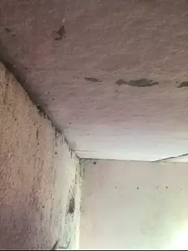 sexguruxxx's cam snapshot