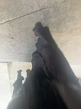 yimisun01's cam snapshot