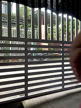 BigAssBee live sex cam