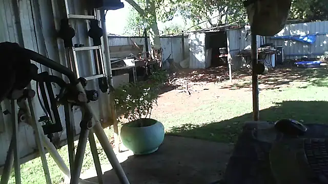 herbie010666 live sex cam