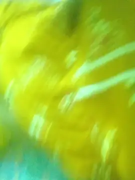 harinisree's cam snapshot