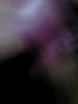 tj2000mano's cam snapshot