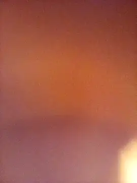 raredick's cam snapshot