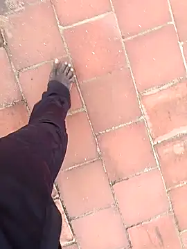 dolphiinn's cam snapshot