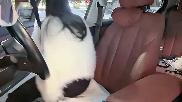 newwell's cam snapshot