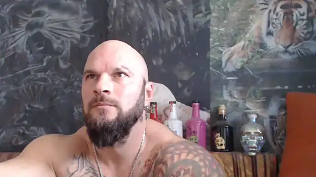 viking_30's cam snapshot