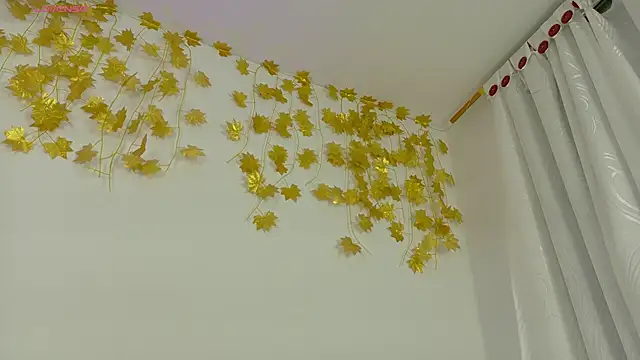 Ambar_and_Hardin's cam snapshot