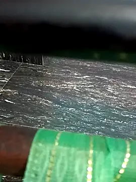 dolphiinn's cam snapshot