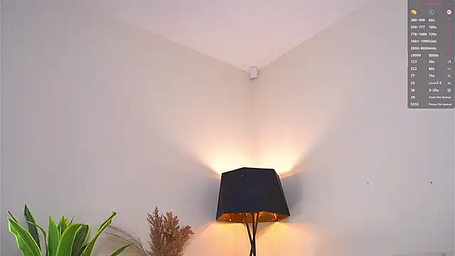 EngelCoyner live sex cam