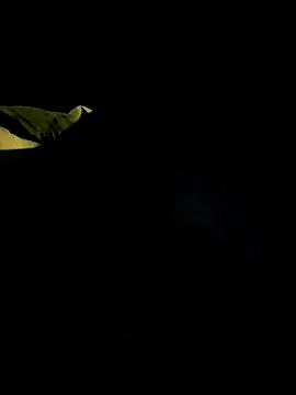 bigdickbandot live sex cam