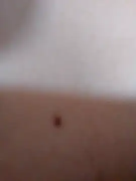 SofieLove_01's cam snapshot