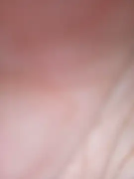 Mahsime's cam snapshot