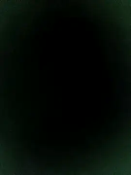 MonasticCanine's cam snapshot