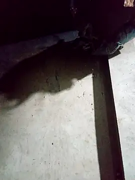 Ava-120's cam snapshot