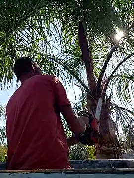 Hungwell1515 live sex cam