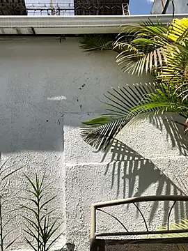 LunaCandy_ live sex cam