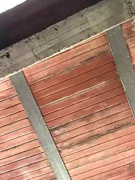 Megan2026 live sex cam