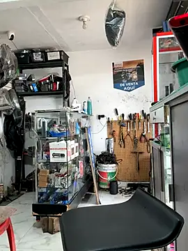 Paul22cm- live sex cam