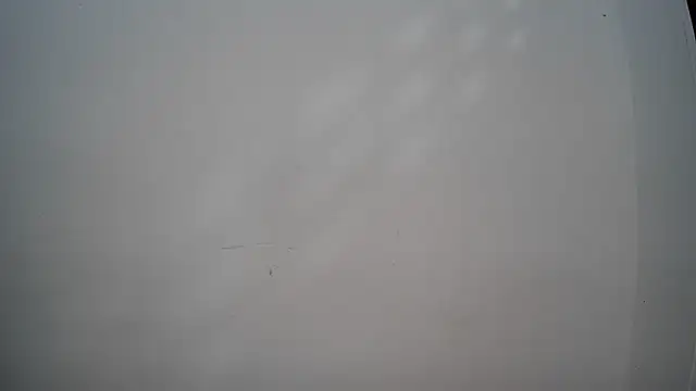 Minu_Cam live sex cam