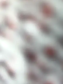 DominickVegas live sex cam