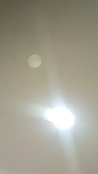 Tony_Wylie live sex cam