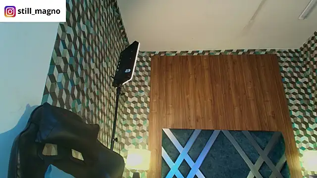 Michael_magno's Stripchat show and profile