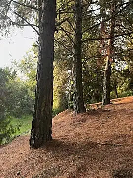 black_leon live sex cam