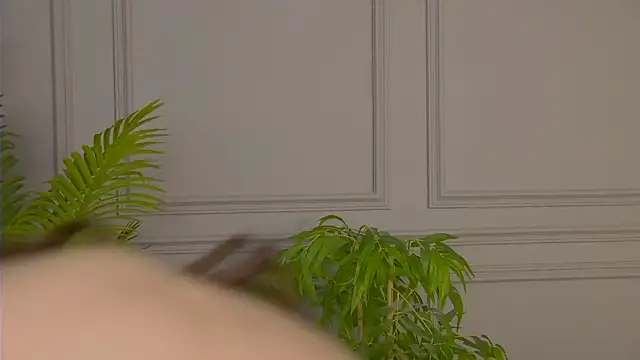 LilithAmory live sex cam