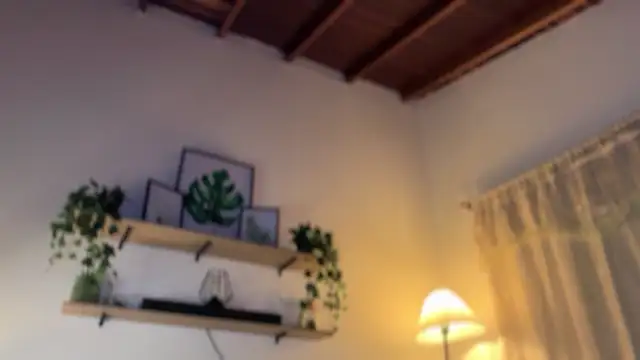 Paulah_x live sex cam