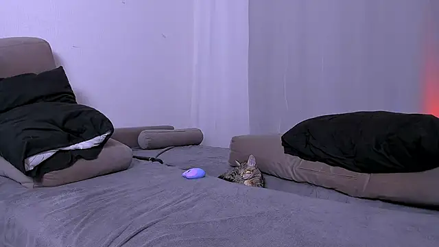 LadyTrep live sex cam