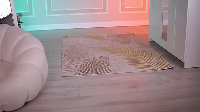 EvaZane live sex cam