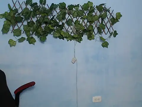 abby_uwu_ live sex cam