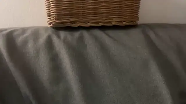 ellafr13 live sex cam