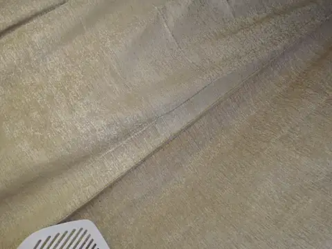 shantalfucker_ live sex cam