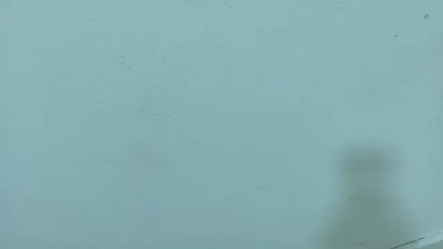 SEBAS_LOVER_ live sex cam