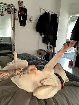 tempzzz12 live sex cam