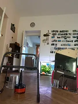 Matttthees live sex cam