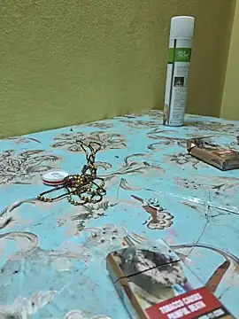 sivani_asha live sex cam