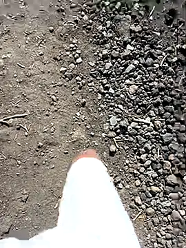 Rico1_1 live sex cam