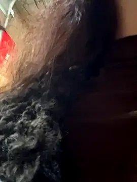 vivi-tara live sex cam